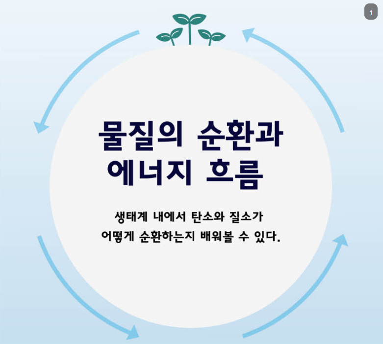 물질의 순환과 에너지 흐름