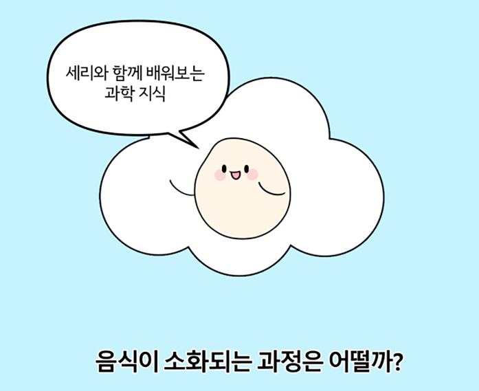 음식이 소화되는 과정은 어떨까?