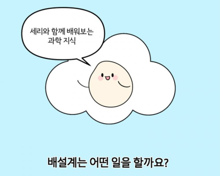 배설계는 어떤 일을 할까요?