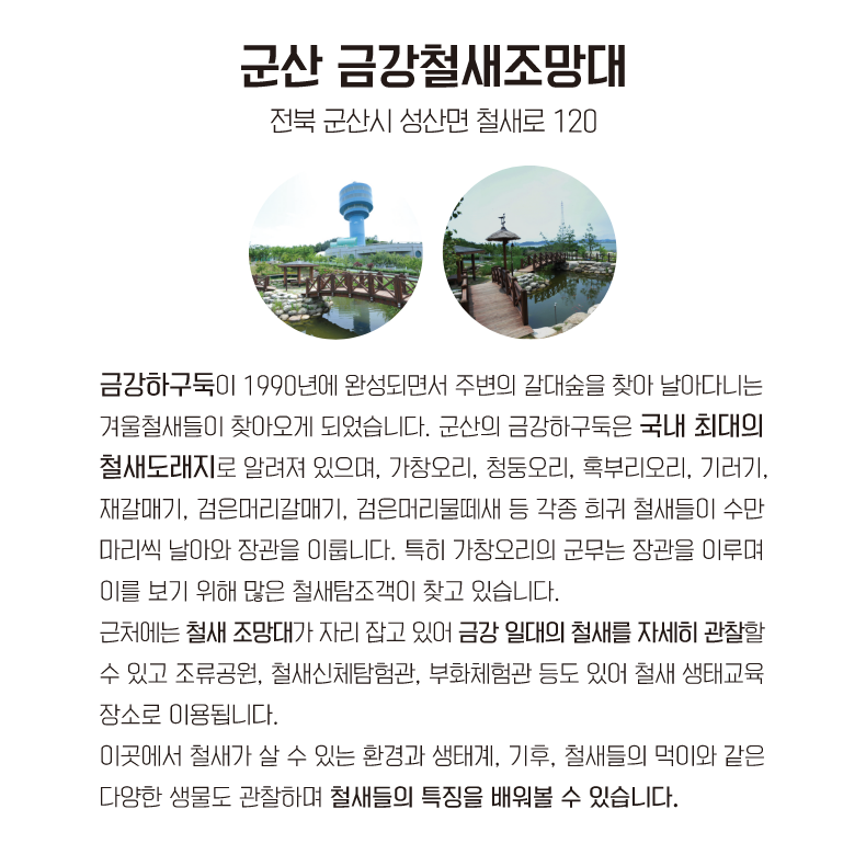 군산 금강철새조망대